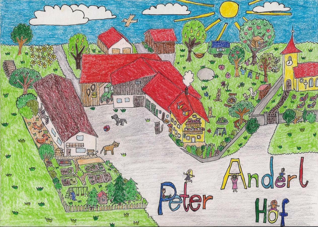 Ferienwohnung Biobauernhof Peter Anderl Hof Pfreimd Zewnętrze zdjęcie